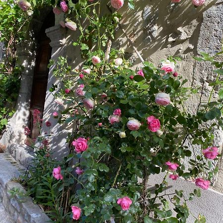 Les Mirabelles Chambres D'Hotes Sisteron Esterno foto