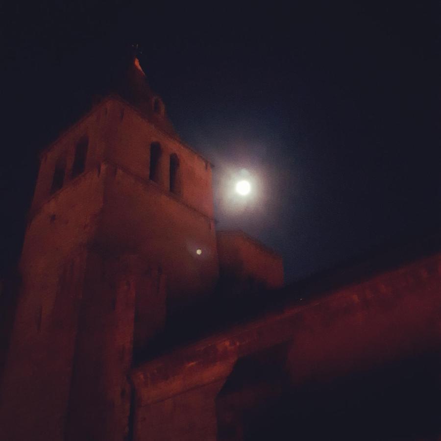Les Mirabelles Chambres D'Hotes Sisteron Esterno foto