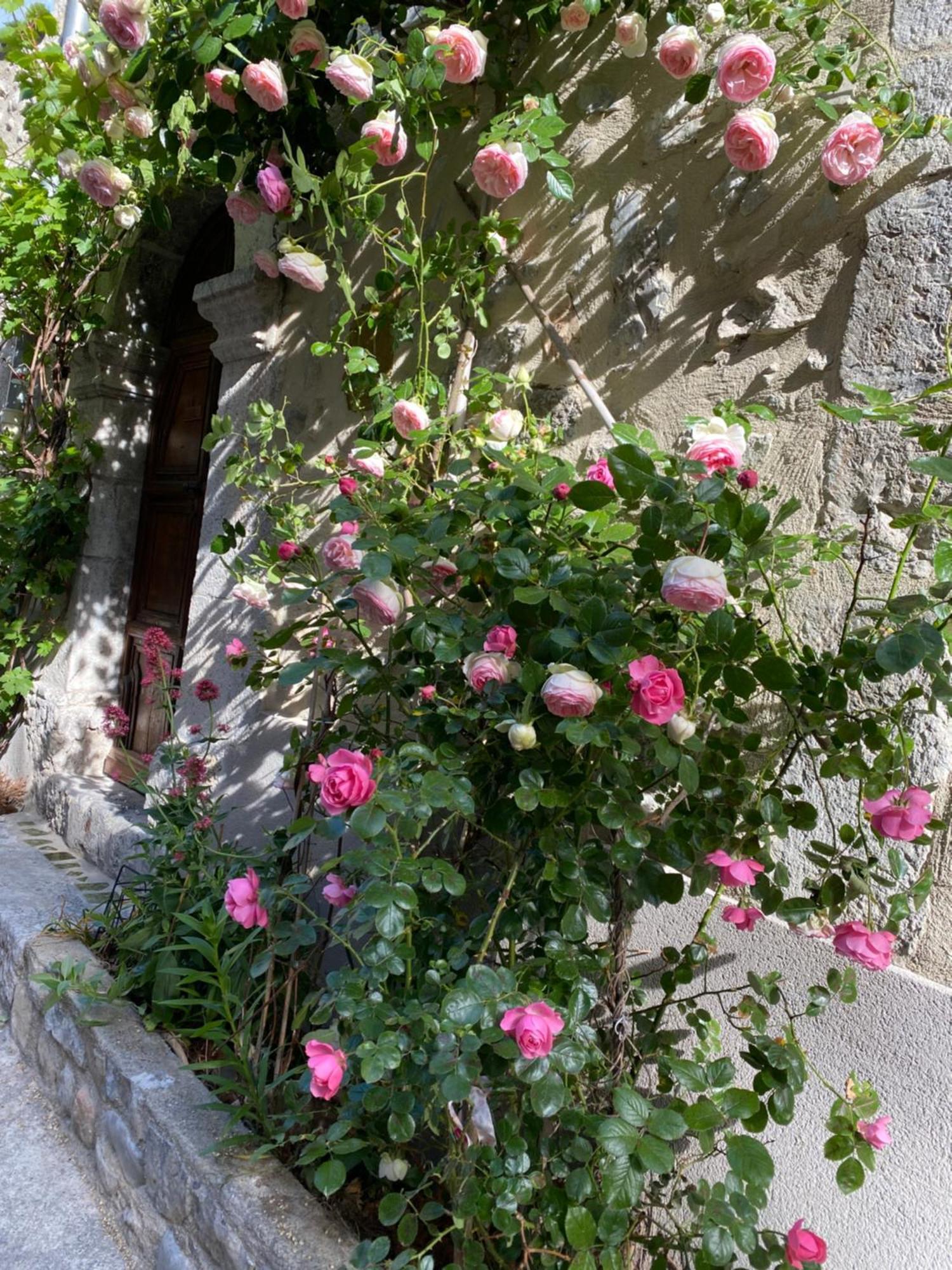 Les Mirabelles Chambres D'Hotes Sisteron Esterno foto